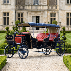 Hermosa Carruada Turística Victoriana, Transporte Especial, Carroza Motorizada, Carroza de Carreras, Carroza para Trotar en Venta - Product Image 1