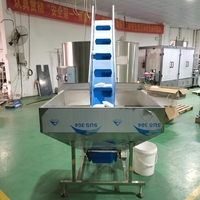 Chaîne de remplissage entièrement automatique avec pompe à engrenages, remplissage, bouchage, étiquetage et film rétractable pour bouteilles de détergent de 500 ml