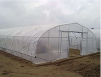 Serre Agricole Dédiée Monochapelle pour Tomates et Fraises en Film Plastique PE