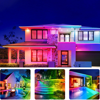 Twinklight extérieur étanche décoration LED plafonnier atmosphère Anime 12V RGB Flexible adhésif intelligent néon bande lumineuse