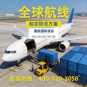 Wing Aviation International Sea Freight Express Porte à Porte avec Dédouanement et Taxes Incluses pour Amazon FBA Europe - Product Image 3
