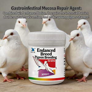 Poudre nutritionnelle la plus vendue pour l'élevage de pigeons de race : <span class=keywords><strong>Tonique</strong></span> masculin pour améliorer la fertilité, retarder le vieillissement reproductif et favoriser la santé intestinale - Product Image 1