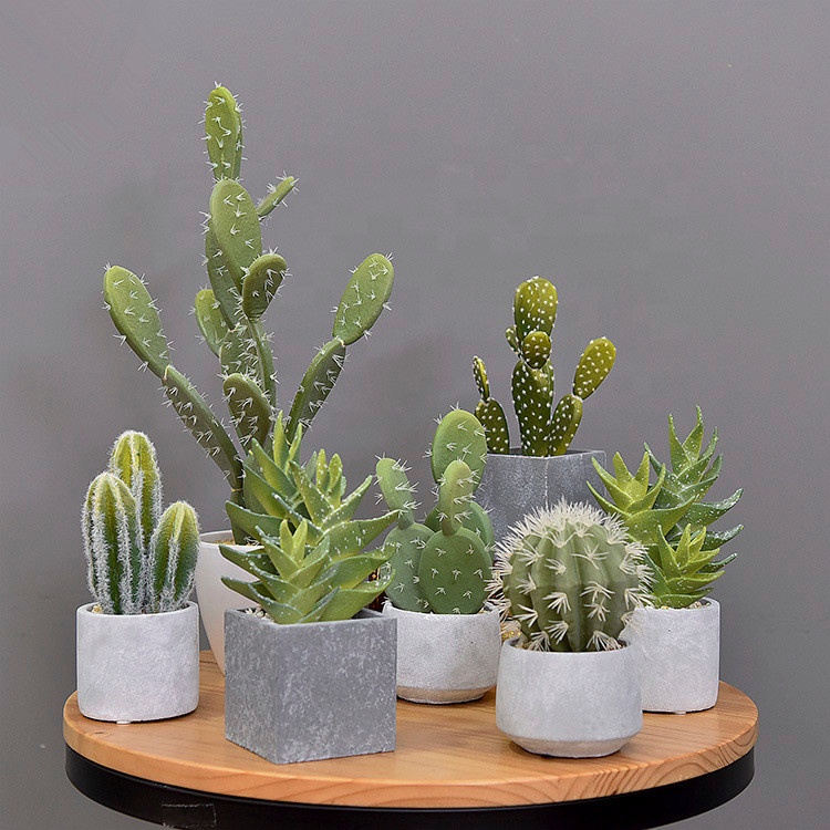 a-3053 ins tiny artificial cactus plant potted for in door