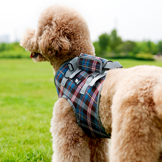 Регулируемый ремень для собак нового дизайна, опорные ремни для ног