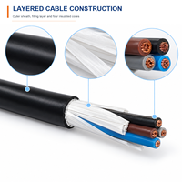 Câble électrique rond souple RVV 4 conducteurs en cuivre 4x2,5mm² 300/500V, gaine isolante en PVC noir