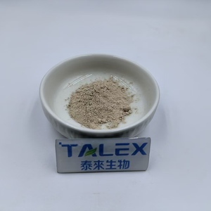 Extrait de champignon crinière de lion de qualité supérieure, naturel, sans poudre, échantillon gratuit, extrait d'Hericium Erinaceus - Product Image 4