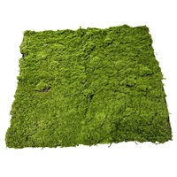 Tapis de mousse artificielle floquée pour photographie de paysage, bonsaï, mariage, décoration intérieure et extérieure écologique, 100cm/200cm