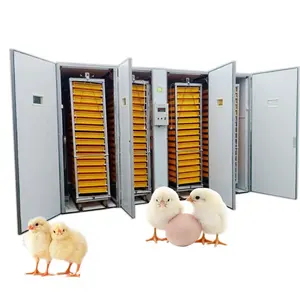 Equipo avícola completamente automático avanzado digital 22528 huevos incubadora a la venta