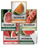 Sachets personnalisés à faible MOQ pour graines de pastèque avec étiquette privée, idéaux pour la vente au détail de graines de fruits