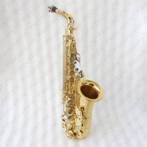 Instrument OEM prix de vente bon marché bonne qualité <span class=keywords><strong>saxophone</strong></span> professionnel chinois alto avec étui <span class=keywords><strong>saxophone</strong></span> alto de qualité supérieure - Product Image 1
