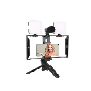 Gravação de vídeo de mão popular para o telefone móvel, vlogs, câmera, kit de microfone