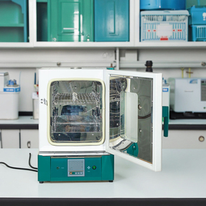 WGLL-BE электрическая сушильная печь по заводской цене, 30 л, мощность RT + 10 ~ 300 ℃, диапазон температуры с принудительной циркуляцией горячего воздуха для лабораторного использования - Product Image 4