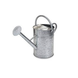 Regadera de Metal de planta de acero inoxidable de gran capacidad resistente de estilo Simple para jardín al aire libre - Product Image 1