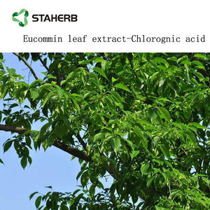 Бесплатный образец, экстракт листьев Eucommia, порошок, порошок Хлорогеновой кислоты, 5%-98% - Product Image 4
