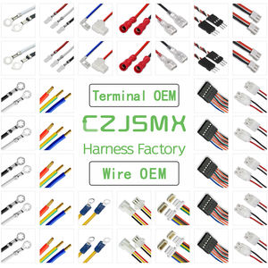 Czjsmx OEM mlex Micro-Fit ชุดสายไฟโมดูลควบคุมอิเล็กทรอนิกส์สำหรับสมาร์ทโฮม - Product Image 6