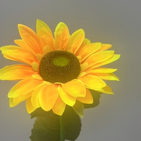 Lampes solaires d'extérieur modernes 1 Pack, Lampes Fleur de Soleil pour Balcon, Jardin, Décoration Paysagère, Éclairage Ambiant sur Piquets