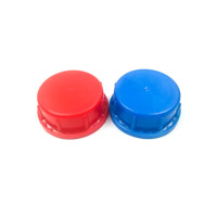 Bouchons de bidons jerrycan en plastique de 5 gallons (20 litres) pour produits chimiques, avec becs verseurs de 55 mm et 56 mm pour emballage de liquides