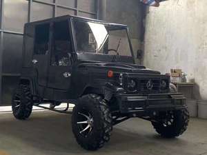Fabricante Profesional Suministra Jeep Todoterreno 4x4 de 350cc a Gas/GLP, Fabricado en China, Go Kart de Cuatro Ruedas con Techo, Certificado CE - Product Image 6