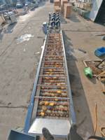 Multifunctionele automatische groente- en sojabonen-fruitwasmachine met motor, voedselveilig roestvrij staal, nieuw