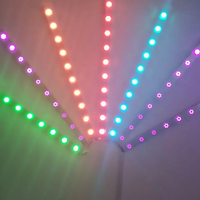 Rgbw DC 12V 7 leds Pixel en forme de Point Led extérieur Point Dmx Pixel Led éclairage plastique DC 12V parc à thème IP65