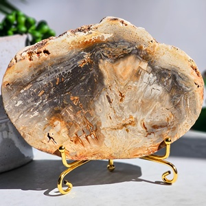 Polished Petrified Wood Fossil Slice Coaster Mineral Specimens Petrified Wood Slab for Decoration
