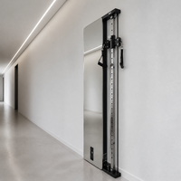Gimnasio Multifuncional de Pared para el Hogar, Equipo de Entrenamiento Comercial para Estudio de Fisioterapia, Acabado en Nogal, Pila de Pesas de 30 kg