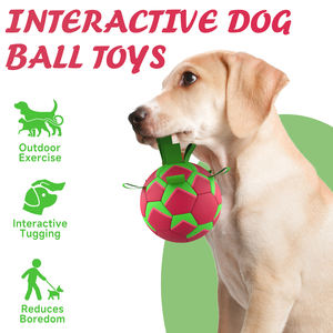 KINYU 2025 sıcak satış su geçirmez yüzer PU çevre dostu köpek topu katı desen havuz su oyun Adventures maceraları Pet futbol - Product Image 6