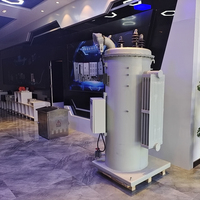 Régulateur de tension d'entrée automobile, livraison gratuite, 24kv 1600kva Avr