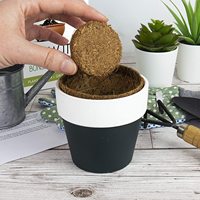Kit d'arbre bonsaï en gros durable chromé 4 types de bonsaïs différents avec des emballages personnalisés