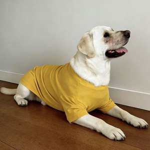 Camiseta sin mangas <span class=keywords><strong>para</strong></span> perro de color liso personalizada al por mayor, ligera, transpirable, protección solar de verano, <span class=keywords><strong>para</strong></span> todas las estaciones, 200 MOQ - Product Image 5