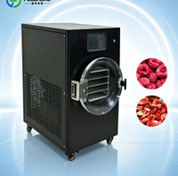 Machine de lyophilisation portable à bas prix pour la transformation de légumes croustillants à usage domestique, petite machine de lyophilisation