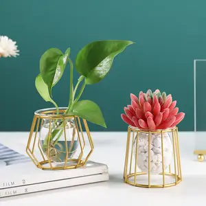 Vase en verre de décoration de la maison, conteneur géométrique en métal, arrangement de fleurs de plantes, en fil, benne de bureau