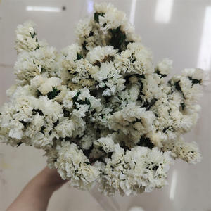 Composizione Floreale di Nontiscordimé e Limonium Essiccati, Bouquet Naturale Essiccato per la Festa della Mamma, Matrimoni e Decorazioni Interne - Product Image 3
