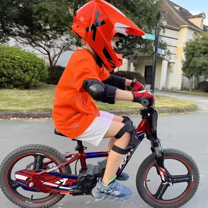 Nouveau design de motos électriques pour enfants tout-terrain électrique Dirt Bike Apollo <span class=keywords><strong>Sedna</strong></span> 16 - Product Image 2