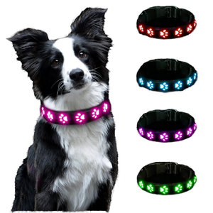 Collier lumineux en nylon pour <span class=keywords><strong>chien</strong></span> avec boucle réglable, motif patte de <span class=keywords><strong>chien</strong></span>, idéal pour les promenades avec un chiot - Product Image 1