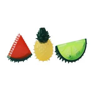 Summer Freezable Water Injection Teething Toy TPR Rubber Fruit Design Squeaky Dog Chew Toy