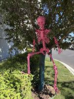 Squelette d'Halloween grandeur nature SIPKLR 165 cm/5,4 pieds, squelette humain articulé pour décoration de maison hantée ou de jardin