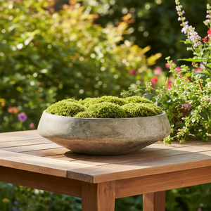 Macetas de Cerámica Populares para Suculentas, Uso Interior y Exterior, Estilo de Diseño Minimalista para Musgo, para el Suelo, para el Hogar y el Jardín - Product Image 3