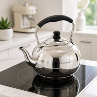 Bouilloire sifflante épaissie en acier inoxydable avec infuseur et design ajouré, compatible induction, pour la maison et l'extérieur, pour thé et café