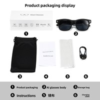 Lunettes Intelligentes avec Verres Correcteurs Polarisés Anti-UV Protection Solaire Monture Unisexe Fabrication Danyang