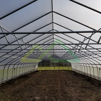 Kits de serres pour construire une serre de jardin à structure métallique pour la protection hivernale, ensemble complet de petite serre tunnel pour tomates