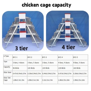 Gabbia per Galline Ovaiole a 4 Piani per 160 Uccelli con Abbeveratoio a Capezzolo - Product Image 6