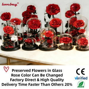Lovebay Factory Direct Real KonservierteBlumen Long Life Flores naturales Flores estabilizadas Preservadas Eternal Rose Glass Dome - Product Image 6