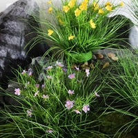 Plante artificielle d'intérieur, herbe de simulation type Cattail, pour décoration intérieure, arrangement floral et ornements, en composition de type grappe de herbe ou paillis.