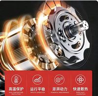 Pompe de transfert de carburant diesel électrique 12V 24V 220V, pompe à huile portable auto-amorçante avec tête de pompe en fonte pour fût et réservoir