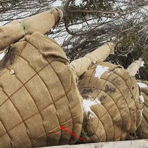 Thiết Kế Hiện Đại 30 '32 'Cây Nursery Gốc Bóng Lưới Giá Rẻ Dây Giỏ Cây Cho Bonsai Trồng - Product Image 2