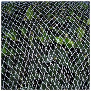 Malla <span class=keywords><strong>Antipájaros</strong></span> Duradera de HDPE, Rollos de Malla Plástica con Protección UV, Servicio de Corte y Procesamiento, Marca HQ - Product Image 1