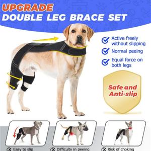 Genouillère de soutien pour chien, équipement de protection pour animaux de compagnie, ceinture de rééducation pour déchirure des ligaments articulaires, produit phare - Product Image 3