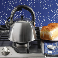 Bouilloire à thé moderne en acier inoxydable argenté de 2,5 litres à 6 côtés, avec poignée en alliage de zinc, revêtement coloré durable, compatible induction et cuisinière