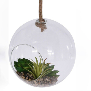 Globe <span class=keywords><strong>en</strong></span> <span class=keywords><strong>verre</strong></span> <span class=keywords><strong>pour</strong></span> plantes aériennes suspendues avec corde <span class=keywords><strong>en</strong></span> jute - Product Image 4
